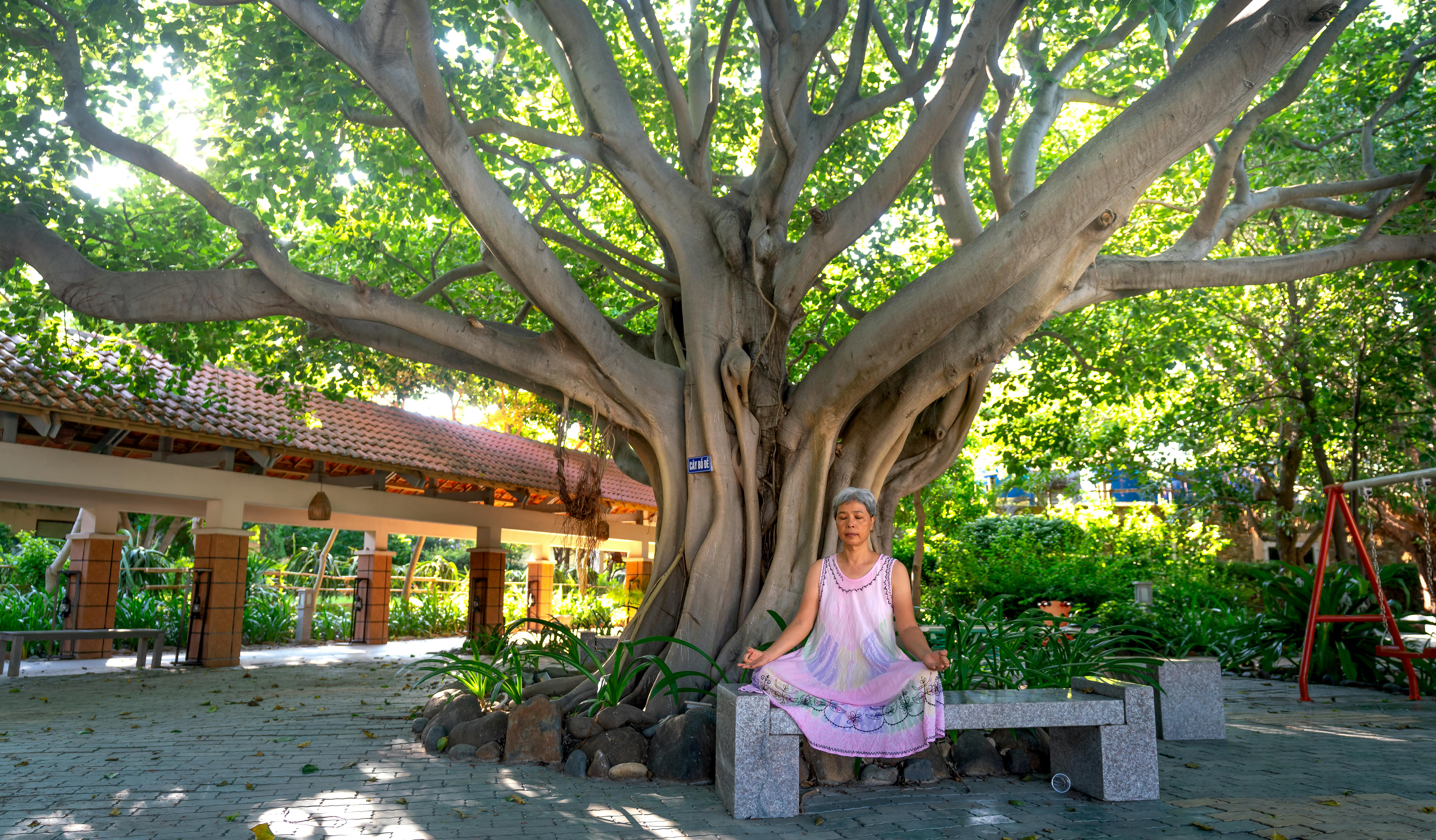 Peaceful self-care moment with journal and tea
